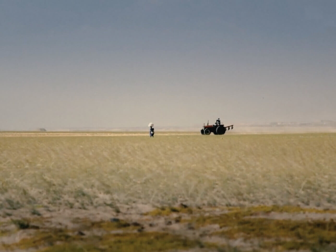 Tractor drives on field